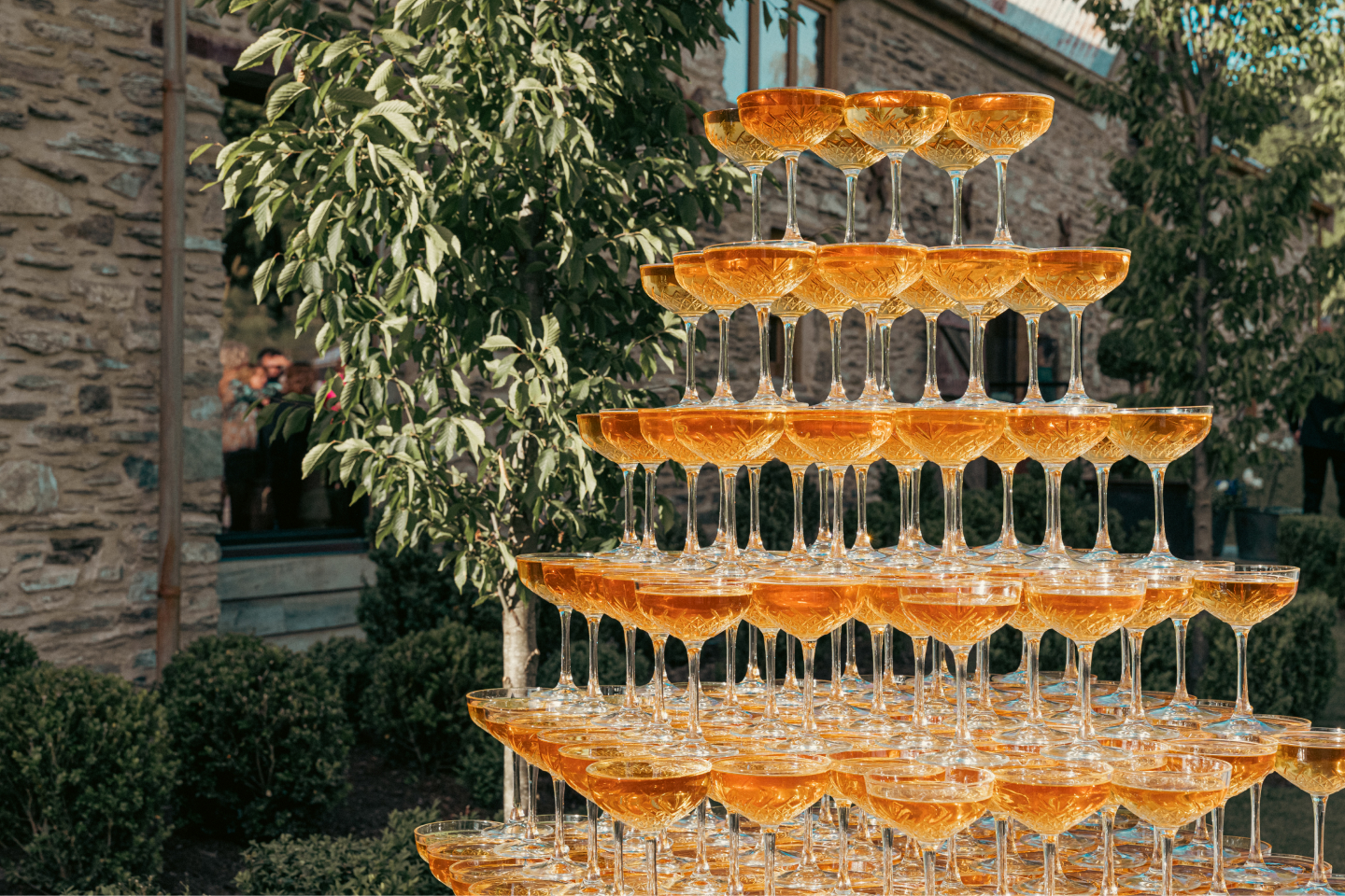 Ayrburn Wine